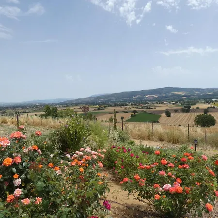 Villa Scappo In Umbria, Casale Le Stelle Num003